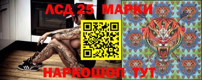 первитин Новодвинск