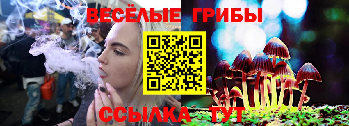 Псилоцибиновые грибы мухоморы Сосновоборск